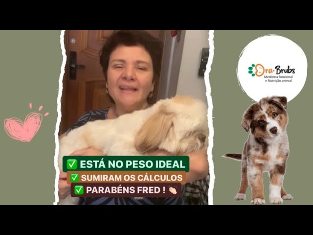 DEPOIMENTO DA MÔNICA TUTORA DO FRED APÓS DIETA NATURAL E SUPLEMENTAÇÃO ADEQUADA