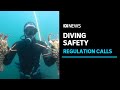 What is hookah diving, and why does it have experts worried? | ABC News