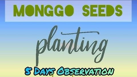 How to plant monggo seeds? 5 days observation with Kuya Liam