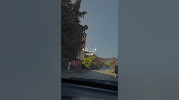 تلاوة عطرة لآيات من كتاب الله #القرآن_الكريم #القرآن #المصحف #الله #الدعاء #foryou #viral #fyp