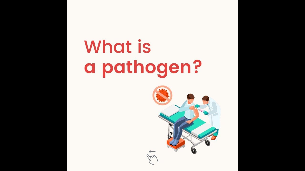 What is pathogen? (English) - YouTube