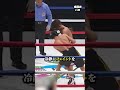 驚愕...井上尚弥の左ボディの破壊力 #井上尚弥 #boxing #格闘技 #ボクシングニュース