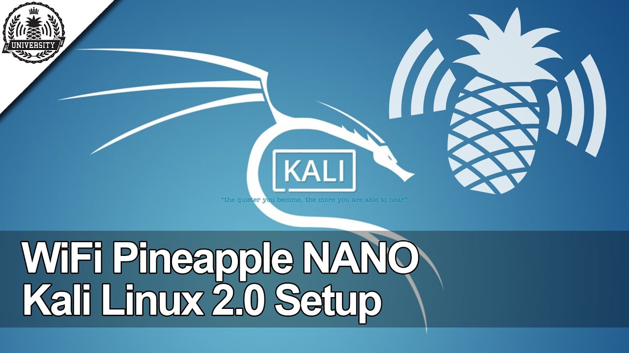 Wifi pineapple. WIFI Pineapple Nano. Hack 5 Pineapple. Pineapple Nano Guide. WIFI Pineapple купить.