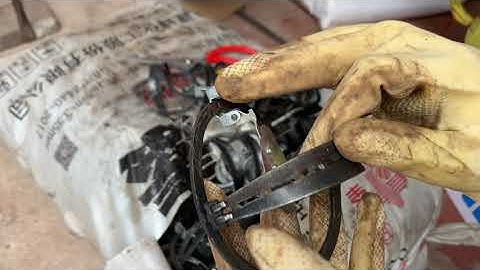 Cạm kiềng 9cm 8k/1c bẫy chuột đồng ,chuột nhà và là bạn của bác thợ bẫy chuột kinh tế.lh:0392029881