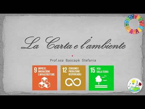 Video: Perché la carta è dannosa per l'ambiente?