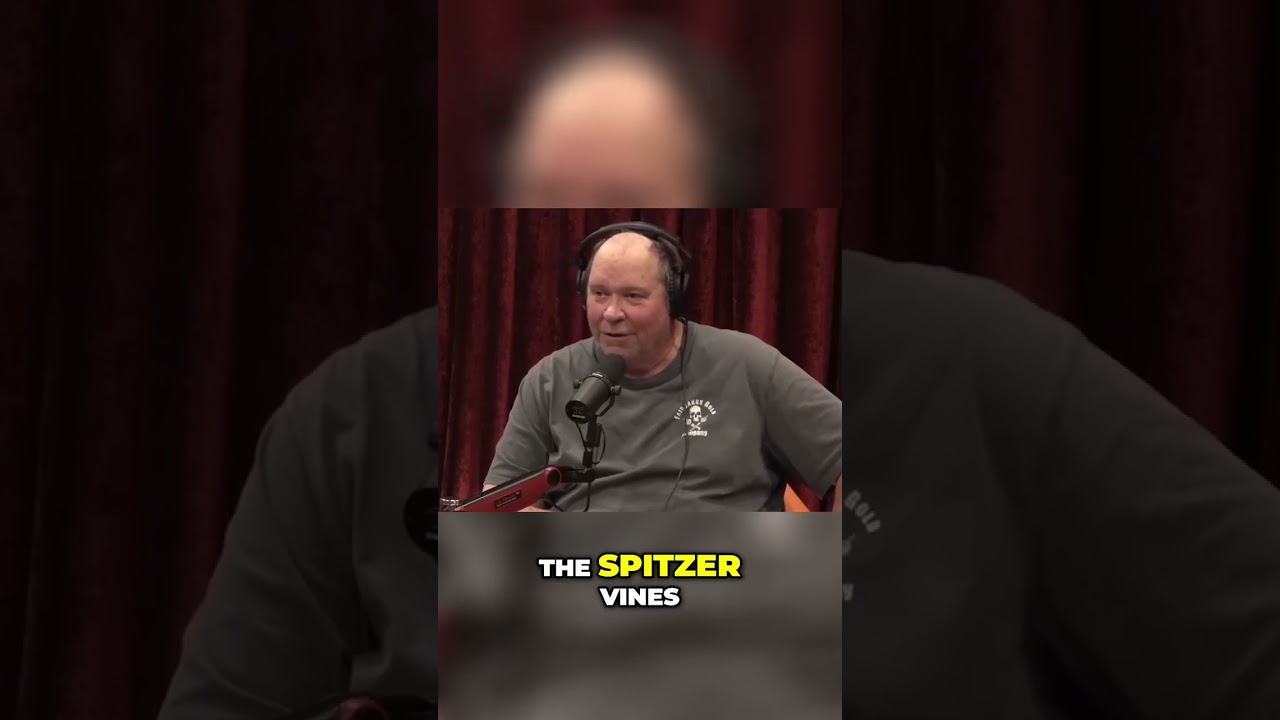 Joe Rogan - Unearthing History: The Spitzer Vines - A Surprising Discovery!