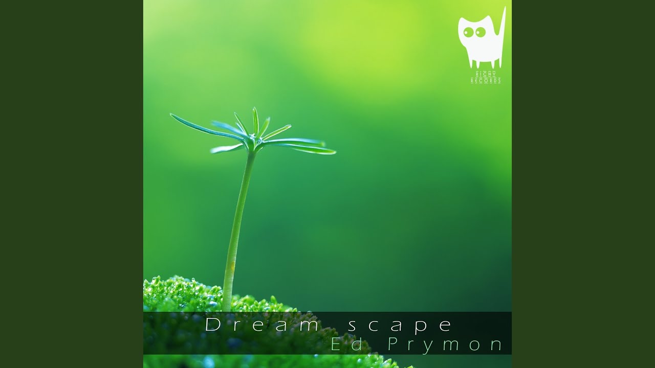 Watch Dream Scape (Original Mix) on YouTube Watch Dream Scape (Original Mix) on YouTube