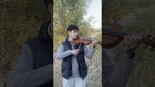 Eminem - Stan ft. Dido (violin cover by Norbert Keizo) #shorts