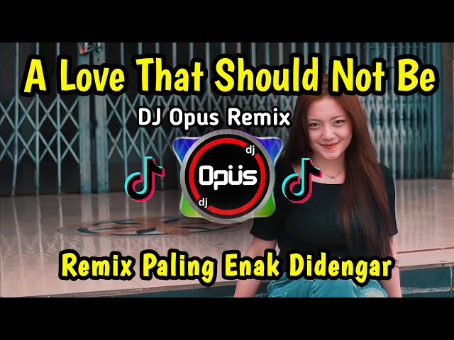 DJ Opus - A Love That Should Not Be (Official Music Video) class=