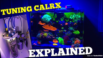 Tuning a CALRX Explained