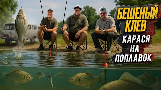 видео: БЕШЕНЫЙ КЛËВ КАРАСЯ НА ПОПЛАВОК картинка: БЕШЕНЫЙ КЛËВ КАРАСЯ НА ПОПЛАВОК