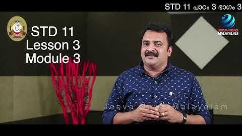 Mane Nobiscum I Cate.Class I STD11 I Les.3 I M.3 I മതബോധനം I ക്ലാസ് 11 I പാഠം 3 I ഭാഗം 3 Jeeva News