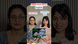 জন্তুৰ দলৰ নাম in English | Animal Group Names | Spoken English #shorts
