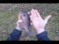 15 Minute Neighborhood HAPPY NEW YEAR Challenge - BASS PANFISH FISHING