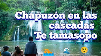 tamasopo cascadas naturales y pozas para nadar (le tour 8)