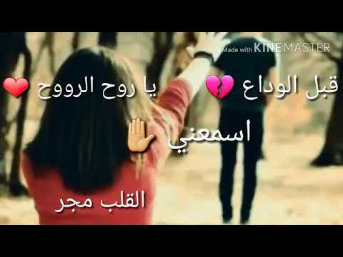 نعيم الشيخ قبل الوداع يا روح الروح اياد السيد