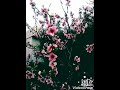 أحسك أنت عالم ثاني أحسك أنت عالم ثاني