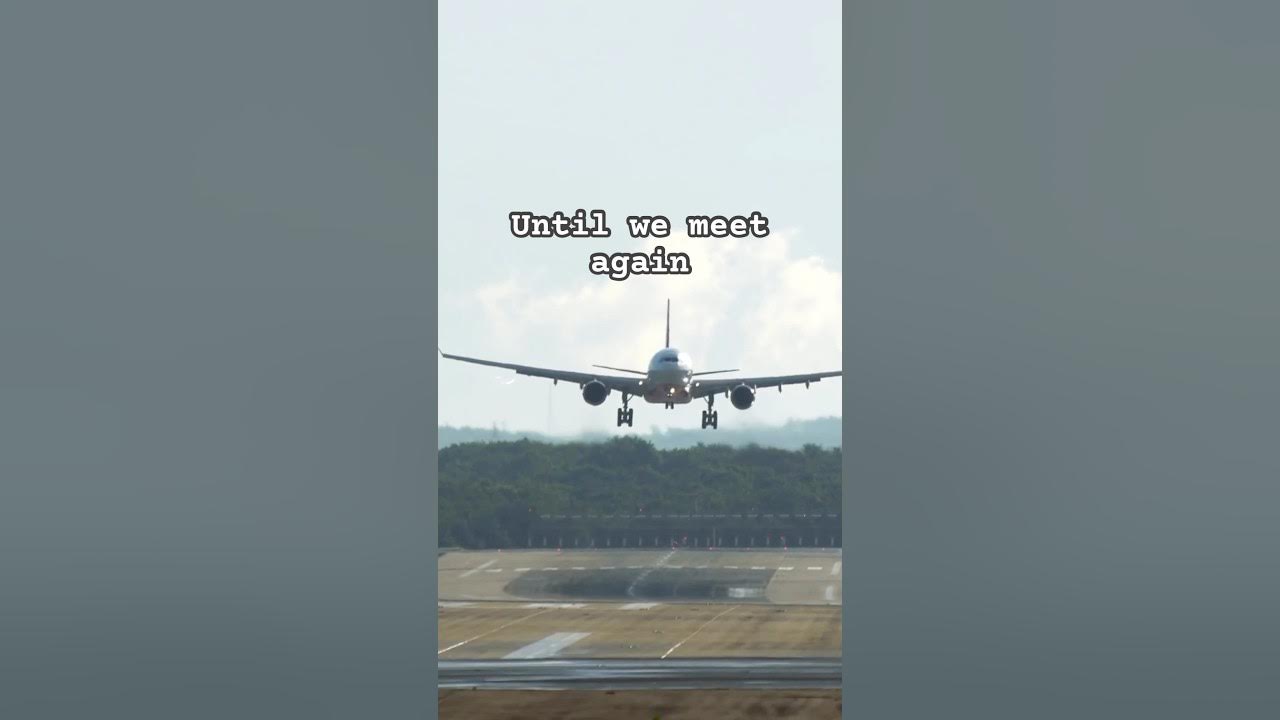 Until we meet again! Tattoo Song by Loreen #airplanelanding #landing #airplane #shortsyoutube Until we meet again! Tattoo Song by Loreen #airplanelanding #landing #airplane #shortsyoutube