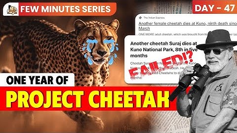 Did Project Cheetah Fail? | Detailed Analysis of Cheetah Reintroduction Project | Environment UPSC