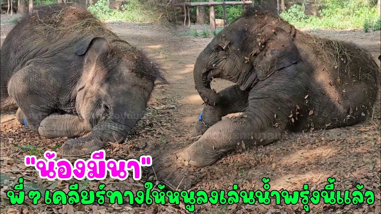 น้องมีนา ได้ข่าวว่าวันนี้พี่ๆเคลียร์พื้นที่เตรียมทางไว้ให้หนูลงเล่นน้ำแล้ว หนูจะจัดเต็มความสนุกให้ดู