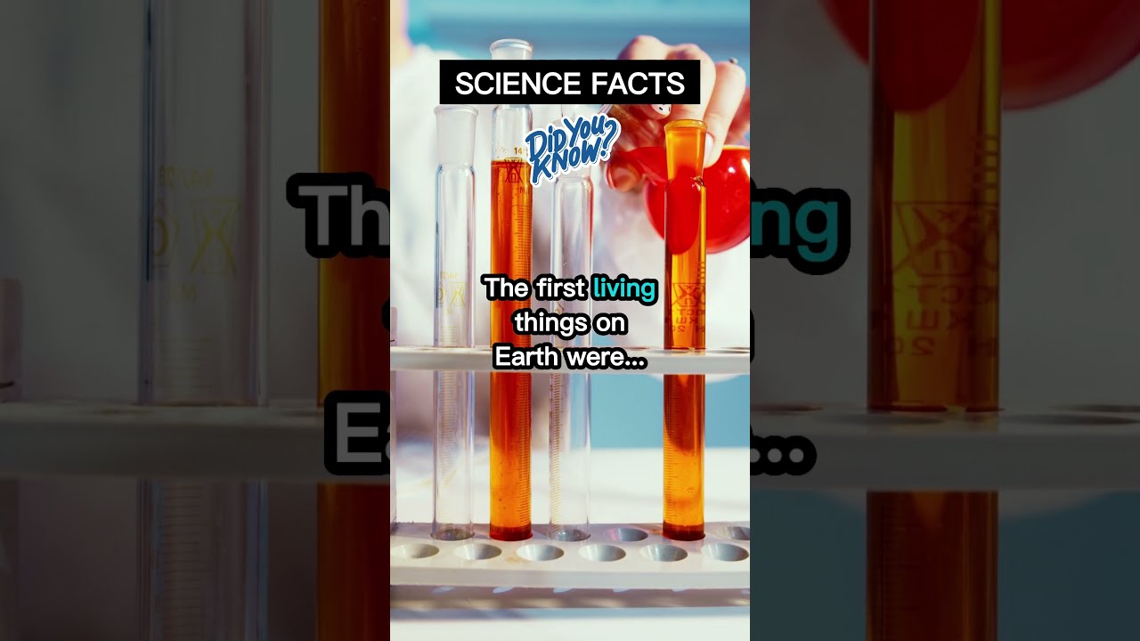 The First Living Things On Earth Were YouTube The First Living Things On Earth Were YouTube
