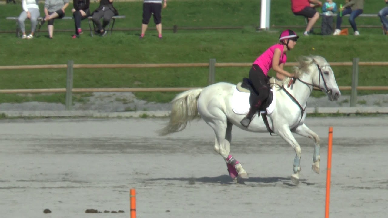 Lagstevne 26-27aug 2017, Marte og Tyrone Crystal