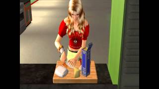 The Sims 2 : Millie's Cooking Show (EPISODE 2: Italian Food)