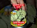 इलायची के अदभुत फायदे #viral​ #facts​ #food​ #ayurved​ #healthydiet​ #helthbenefits​shorts