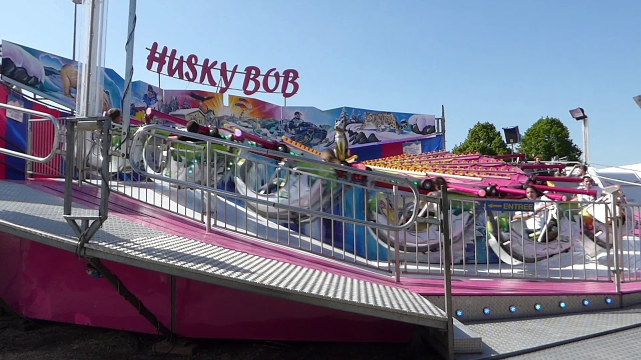 Husky Bob (Vitry-le-François 2018)