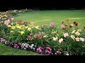 🌺Дизайн сада Лучшие идеи для вдохновения / Best Garden Ideas / A - Video