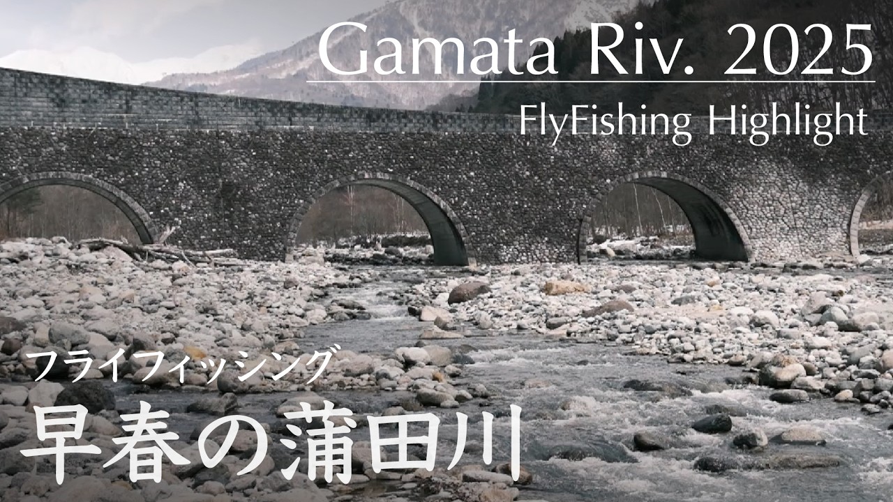 早春の蒲田川｜フライフィッシング 2025.3.13 Flyfishing Highlights