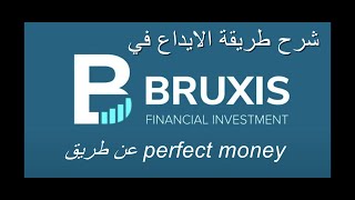 شرح طريقة الايداع في موقع bruxis بالتفصيل عن طريق perfect money  | افضل مواقع الربح من الانترنت 2021