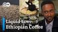 The History of Coffee: From Bean to Brew ile ilgili video