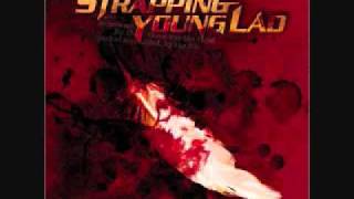 Strapping Young Lad - Dire Consequences