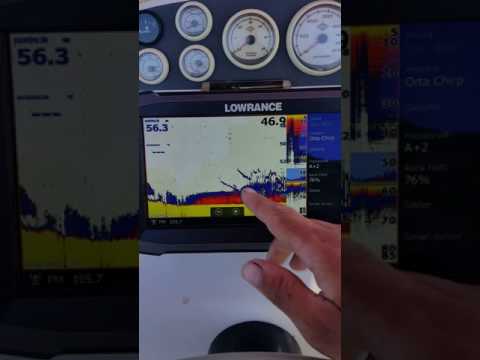 Lowrance HDS 9 Gen 3.  &    1 kw chirp
