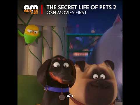 putlocker the secret life of pets putlocker the secret life of pets