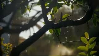 Lagu Tolaki Au Ta Mombenasa. Vocal : Liow Tosepu (Leo Waldiansyah)