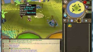 Angelscape 317 donator zone