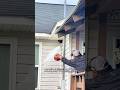 スズメバチの巣に謎の液体をかける理由