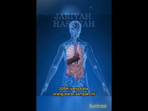 Video: Apakah DNA dalam ayat?