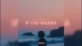 Nu Aspect & Coach Harrison - If You Wanna