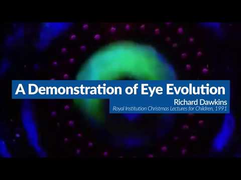 How Ours Eyes Evolved | Evolution Explained with Richard Dawkins