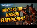 The NECRON FLAYED ONES I Warhammer 40k Lore