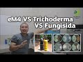 Trichoderma vs em4