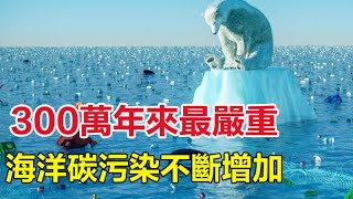 300万年来最严重！海洋碳污染不断增加，95%的海洋表面受到威胁#科普大世界