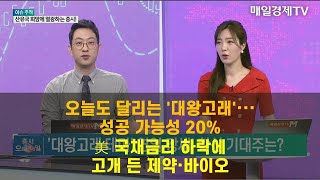 [이슈 추적] 추적! 흥구석유·중앙에너비스·대동스틸·알테오젠 이재규 , 나도투자연구소 본부장