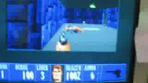 Wolfenstein 3D in DOS via Windows 98
