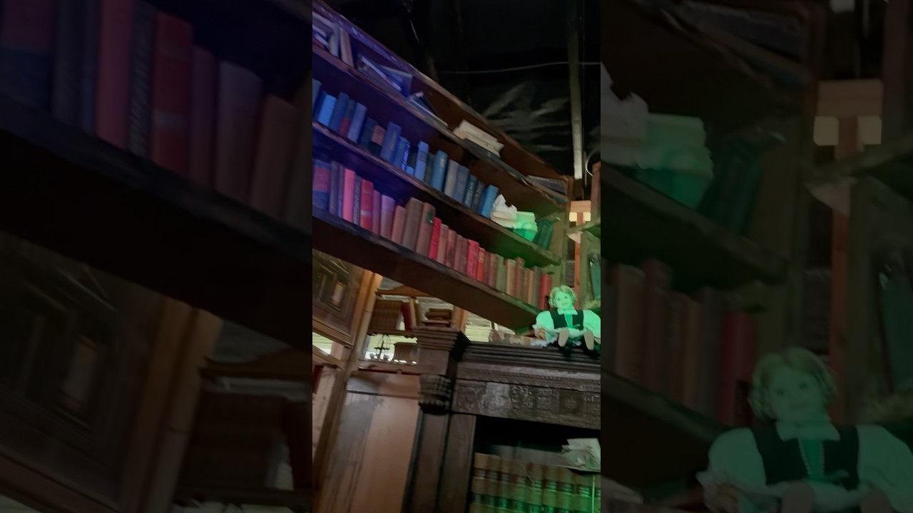 Library 📚 #halloween #spooky #library