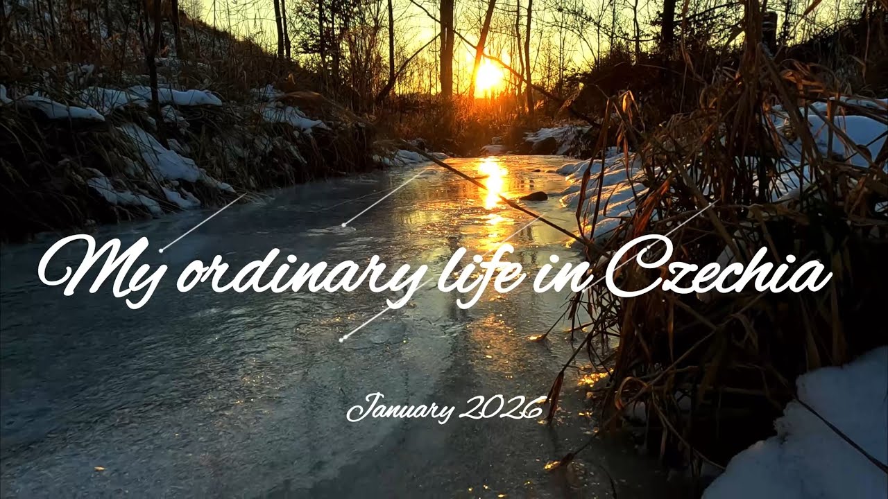 My Ordirany Life in Czechia January 2025 Ice, Black cat, Winter, Gaming, Lazy time, Snow, Food
