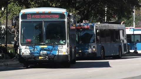 Initial Investment Designed for Austin | Project Connect by Capital Metro